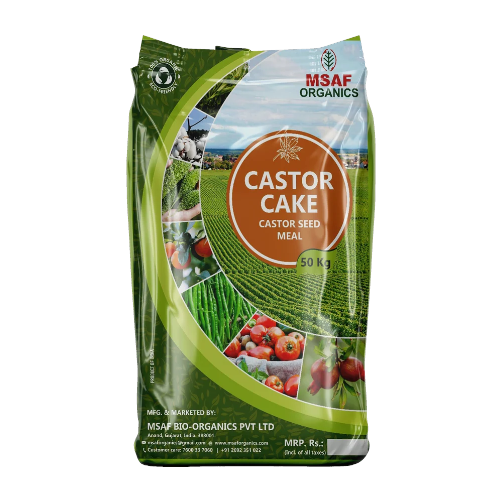 Castor Cake