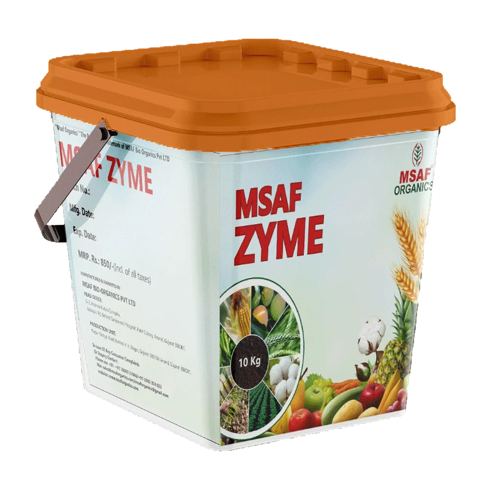 MSAF Zyme
